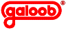 Galoob logo